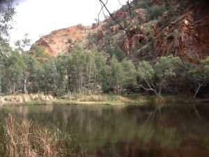 Ellery Creek water hole