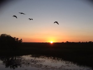 Dawn at Yellow Water Billabong