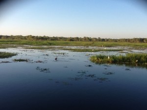 South Alligator Wetlands