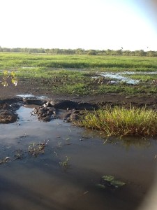 a 4m+ croc sunning itself less than 3m from the boat