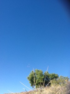 If you have a keen eye, here's the afternoon's entertainment - aerobatic planes