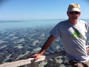 Hamelin Pool Stromalites