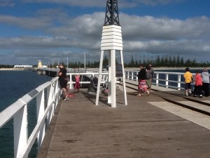 Busselton to Margaret River and Cape Leeuwin 024