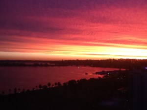 NZ and first week of Aussie travels 2015 205