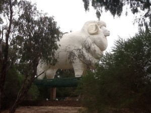 The Giant Ram in Wagin