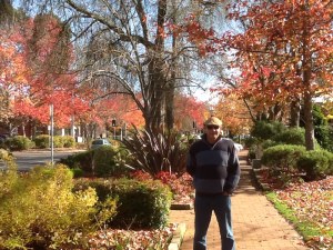 What brilliant colour - but its a bit cool!