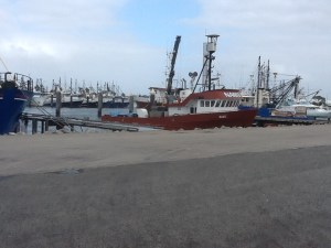 Just a small percentage of the fishing fleet