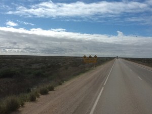 Watch out for all those animals!