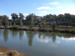 Looking out of the bus - across Lake Talbot,