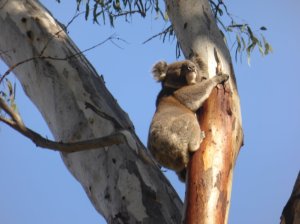 I'm really cute - who are those people looking at me?